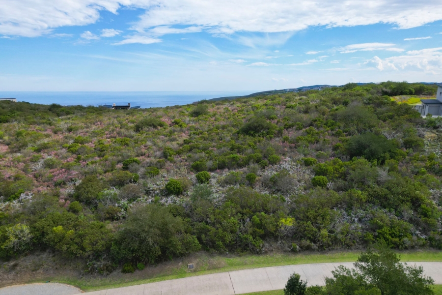 Commercial Property for Sale in Pezula Private Estate Western Cape